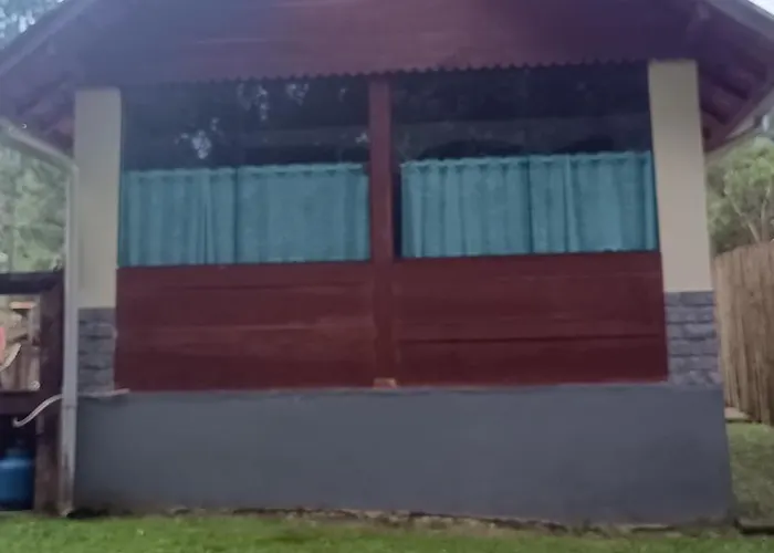 Palmeira Azul Visconde De Maua